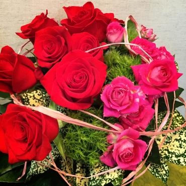真っ赤なバラのアレンジメント｜「松花園」　（兵庫県神戸市須磨区の花キューピット加盟店 花屋）のブログ