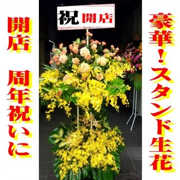 開店祝い　スタンド花｜「松花園」　（兵庫県神戸市須磨区の花キューピット加盟店 花屋）のブログ