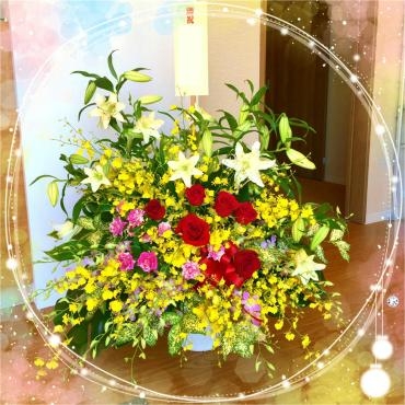 ☆御祝い　アレンジメント☆｜「松花園」　（兵庫県神戸市須磨区の花キューピット加盟店 花屋）のブログ