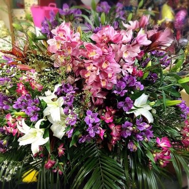 オープン祝いに｜「松花園」　（兵庫県神戸市須磨区の花キューピット加盟店 花屋）のブログ