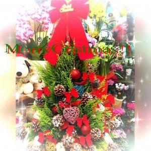 Very merry christmas!!｜「松花園」　（兵庫県神戸市須磨区の花キューピット加盟店 花屋）のブログ